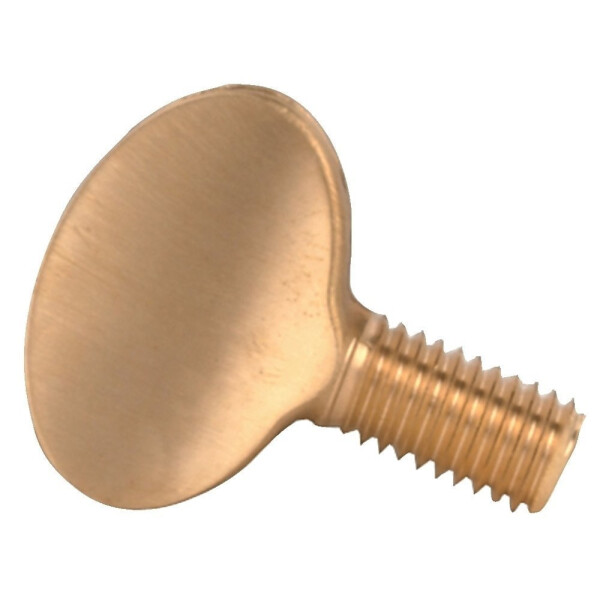 Gewa spike replacement screw short brass