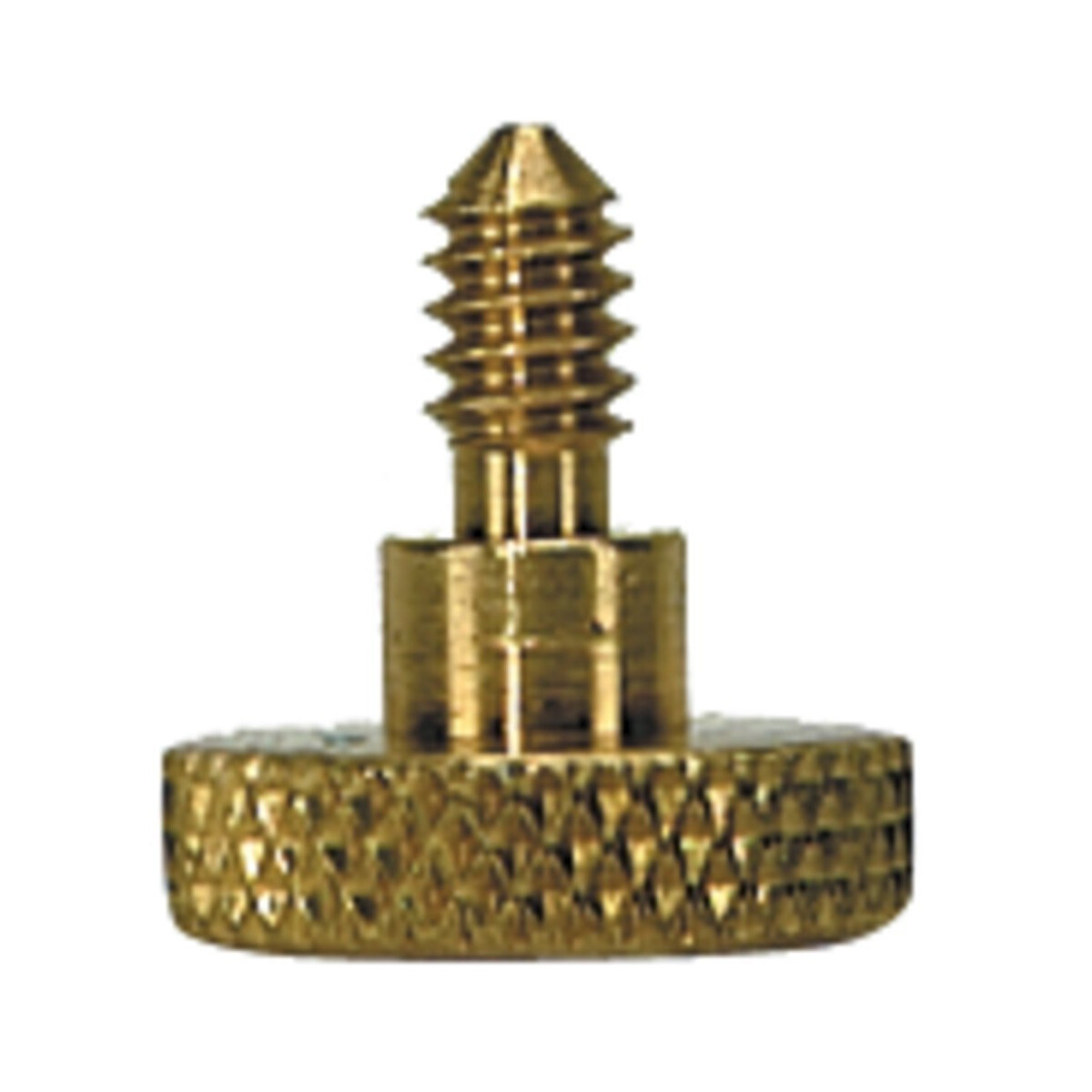 Kun shoulder rest component locking screw head brass colored