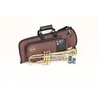 Bach Bb trumpet TR450