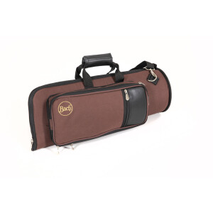 Bach Bb trumpet TR450S