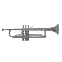 Bach Bb trumpet TR450S