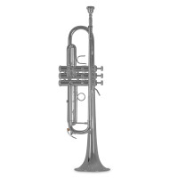 Bach Bb trumpet TR450S