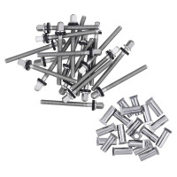 DW Tuning Screws SM TP50S5