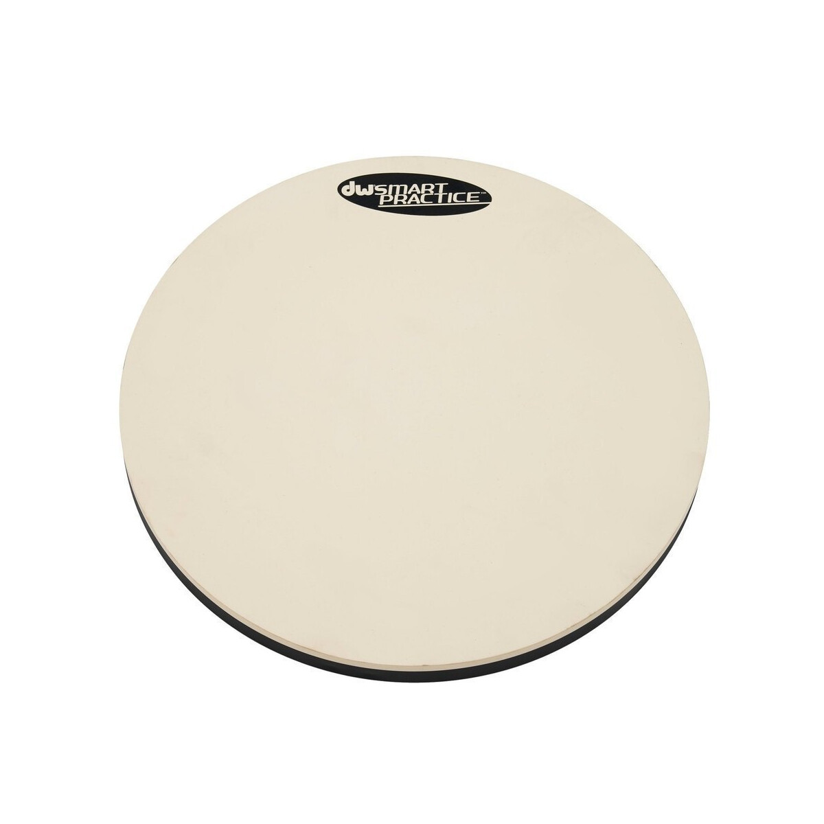 DW Go Anywhere SP PADTU10