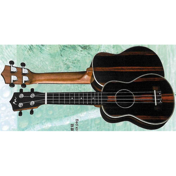 Spread & Music B-stock S-21Y/N Padouk rosewood