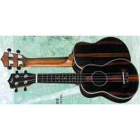 Spread & Music B-stock S-21Y/N Padouk rosewood