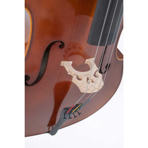 Gewa Allegro-VC1 4/4 mit Setup MB