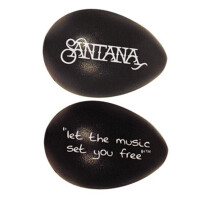 LP Rhythmix Santana Egg Shaker R003 Blueberry 2