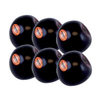 Remo Fruit Shaker Plum