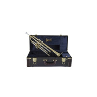 Vincent Bach Bb-Trompete Stradivarius 190-37