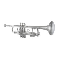 Vincent Bach Bb trumpet Stradivarius 190S43