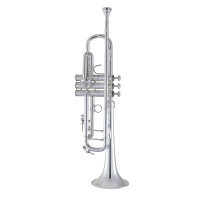 Vincent Bach Bb trumpet Stradivarius 190S43