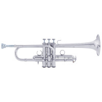 Vincent Bach Eb/D soprano trumpet Artisan ADE190S