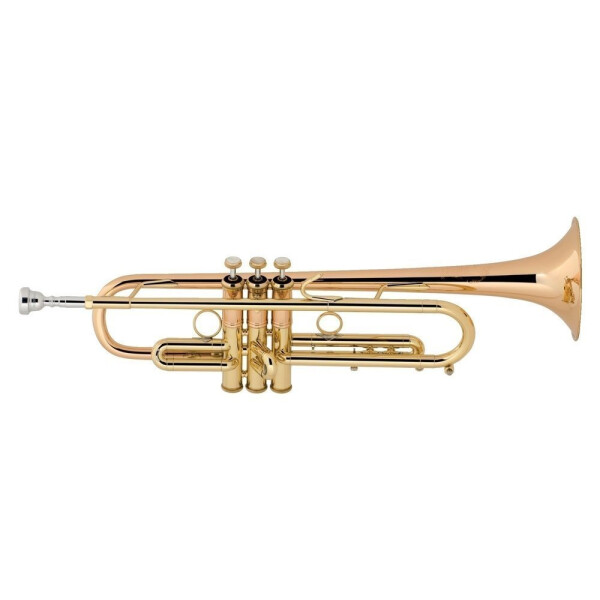 Vincent Bach Bb-Trompete Stradivarius LT190L1B