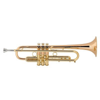 Vincent Bach Bb-Trompete Stradivarius LT190L1B