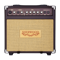 Carlsbro SHERWOOD 20 Akustik Verstärker