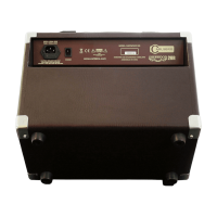 Carlsbro SHERWOOD 20 Akustik Verstärker