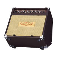 Carlsbro SHERWOOD 20 Akustik Verstärker