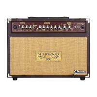 Carlsbro SHERWOOD 30 Akustik Verstärker