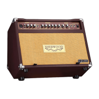 Carlsbro SHERWOOD 30 Akustik Verstärker