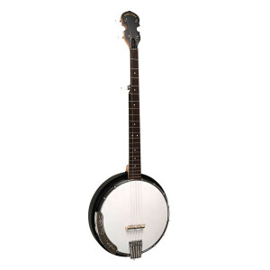 Gold Tone AC-5 Banjo