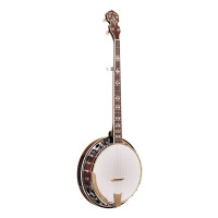 Gold Tone BG-150F Banjo