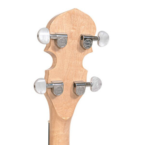 Gold Tone CC-100R Banjo