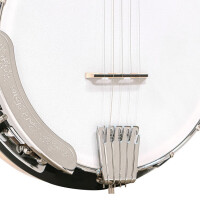 Gold Tone CC-100R Banjo