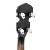 Gold Tone CC-50 Banjo