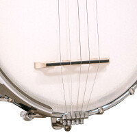 Gold Tone CC-MINI Banjo