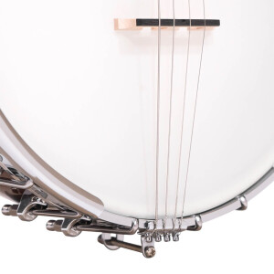 Gold Tone CC-Irish Tenor Banjo