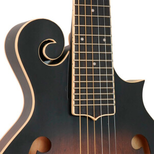 Gold Tone F-6 Mandolin