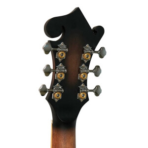 Gold Tone F-6 Mandolin