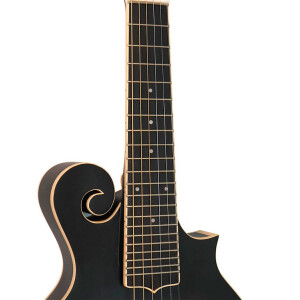 Gold Tone F-6 Mandolin
