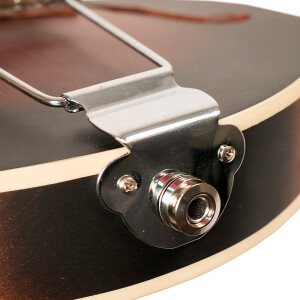 Gold Tone F-6 Mandolin