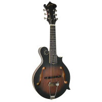 Gold Tone F-6 Mandolin