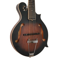 Gold Tone F-6 Mandolin