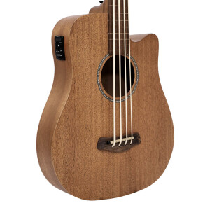 Gold Tone M-BASS25 FL