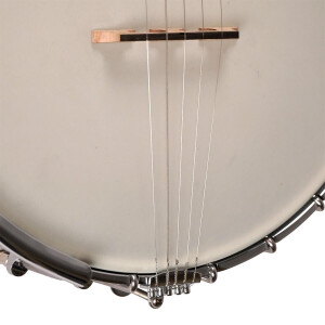 Gold Tone WL-250 Banjo
