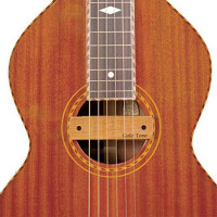 Gold Tone WBM pickup