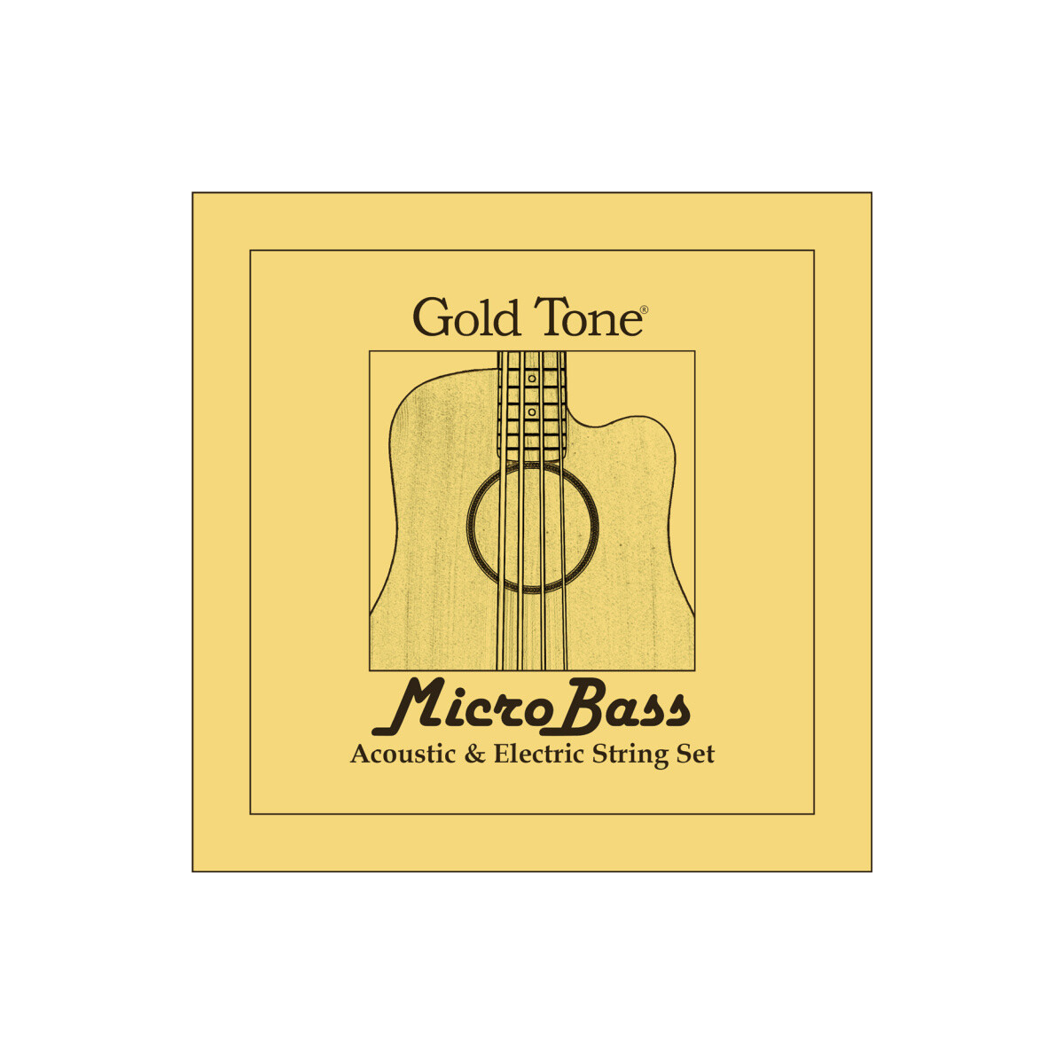 Gold Tone MBS & E-Bass box