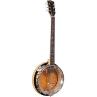 Gold Tone GT-750 Banjitar