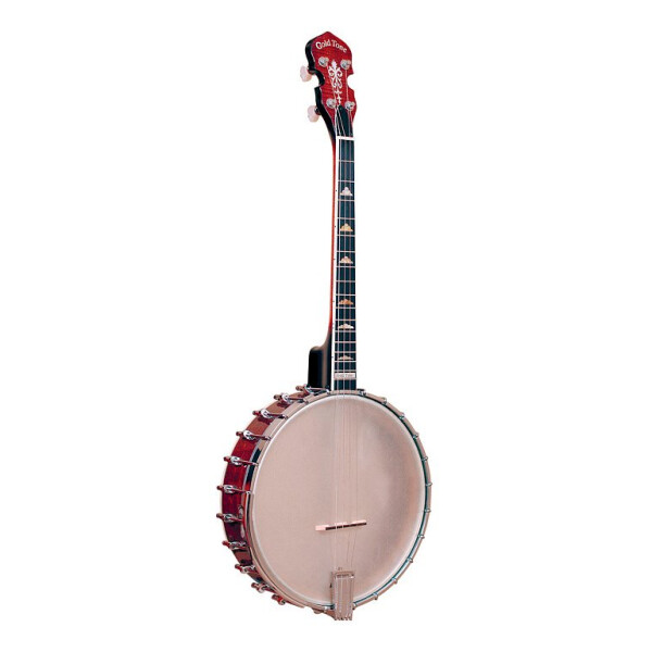 Gold Tone IT-250 Banjo