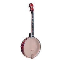 Gold Tone IT-250 Banjo