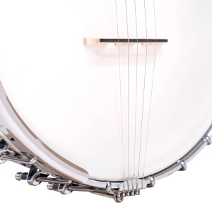 Gold Tone OT-800LN Banjo