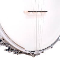 Gold Tone OT-800LN Banjo