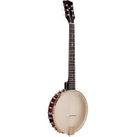 Gold Tone BT-2000 Banjitar