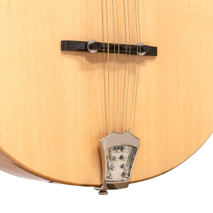 Gold Tone BZ-500 Bouzouk Mandoline