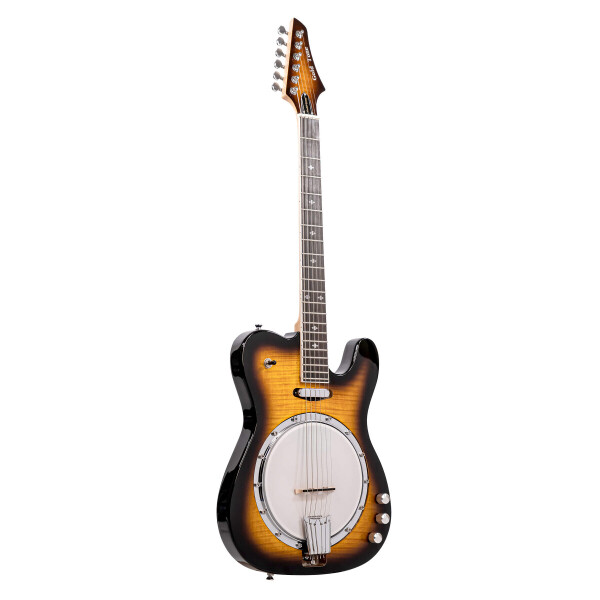 Gold Tone ES Banjitar