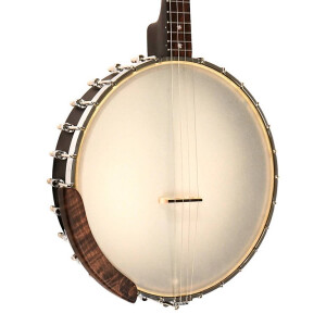 Gold Tone IT-17 Banjo